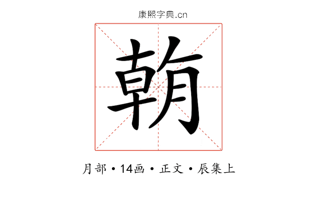 𣎍