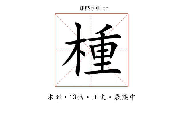 㮔