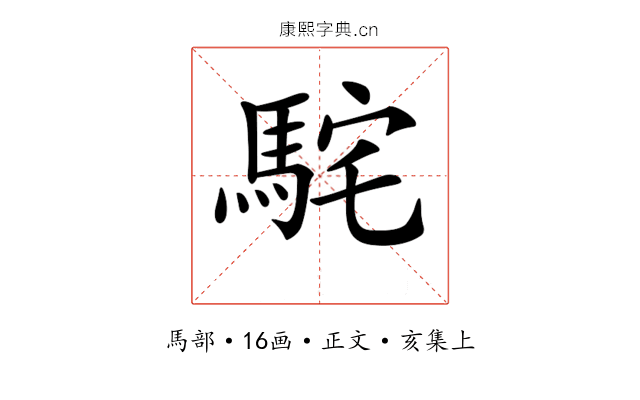 𩢵