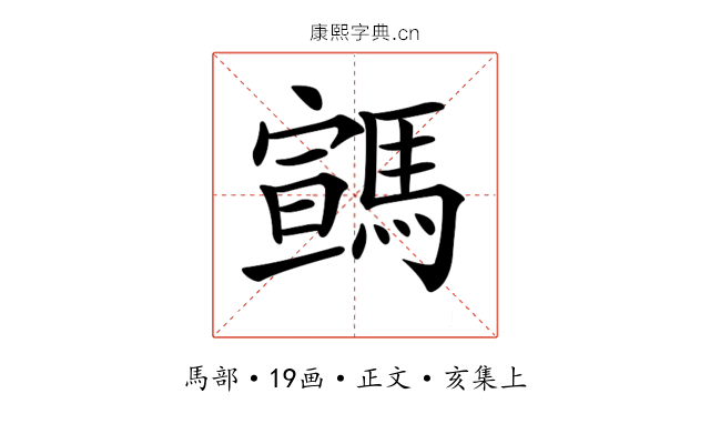 𩤡