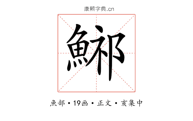 𩷾