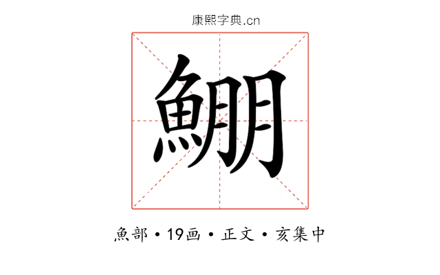 𩸀