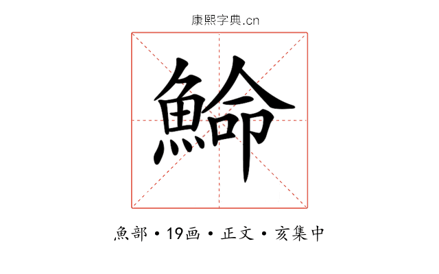 𩸍