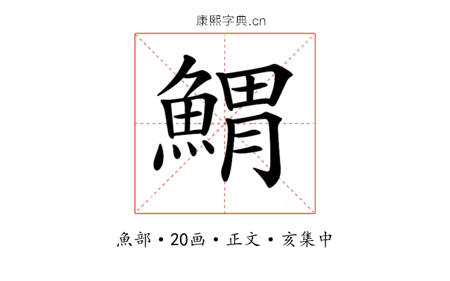 𩹂