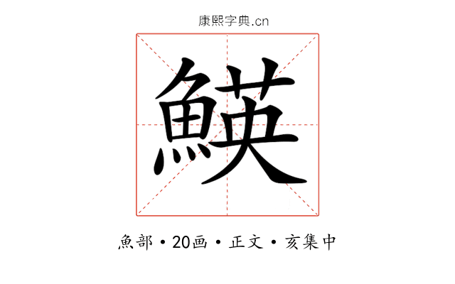 𩹅