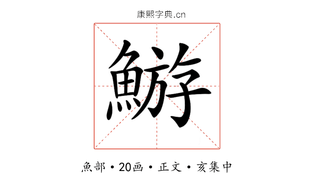𩹊