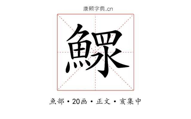 𩹌