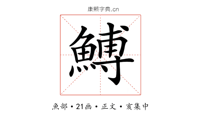 𩹲