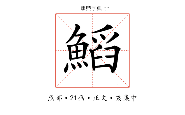 𩹴