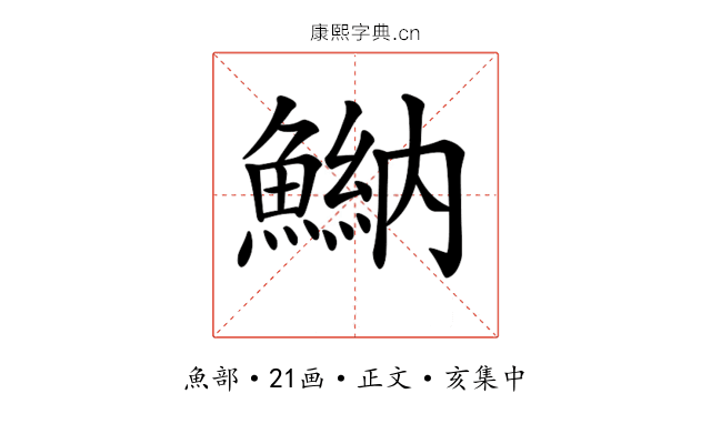 𩹾