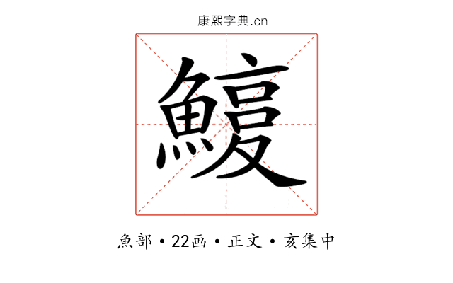 𩺽