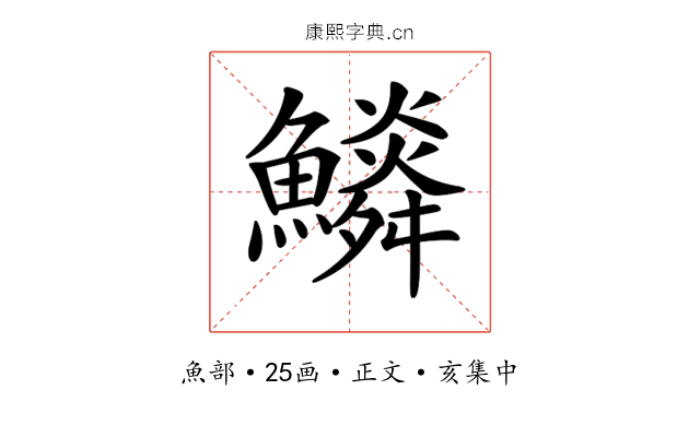 𩼩