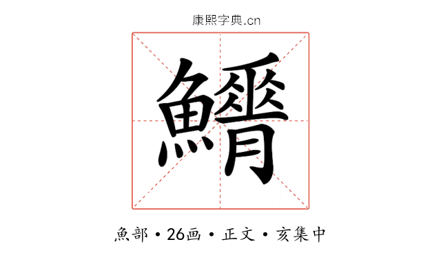𩼿