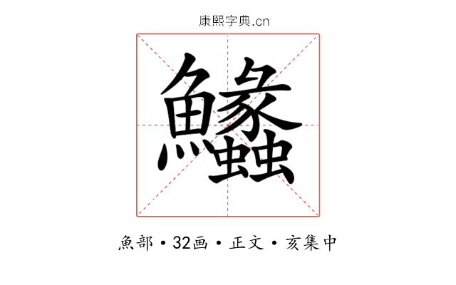 𩽵