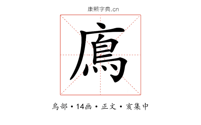 𩾦