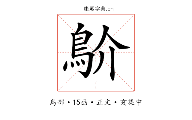 𩾴