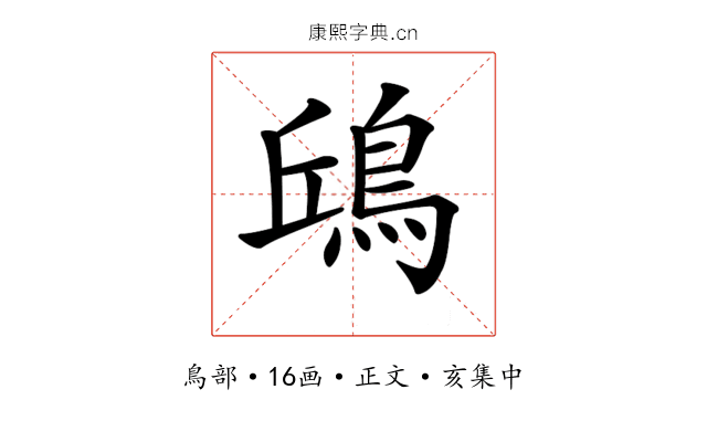 𩿨