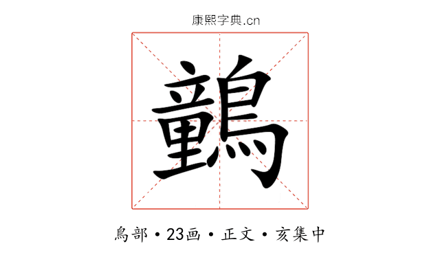 䴀