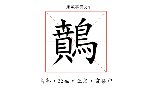 䴅