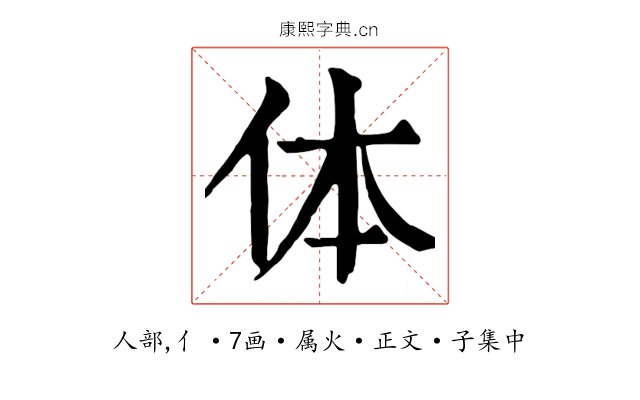 体