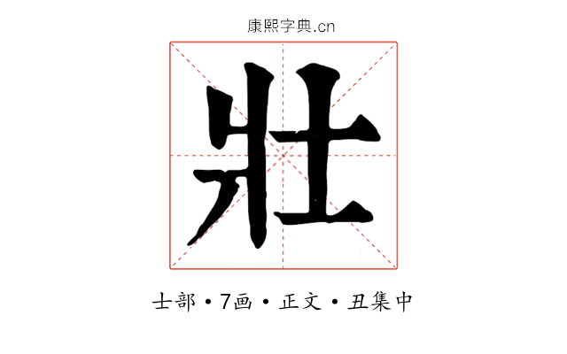 壯