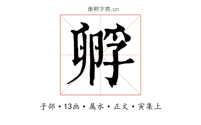 孵