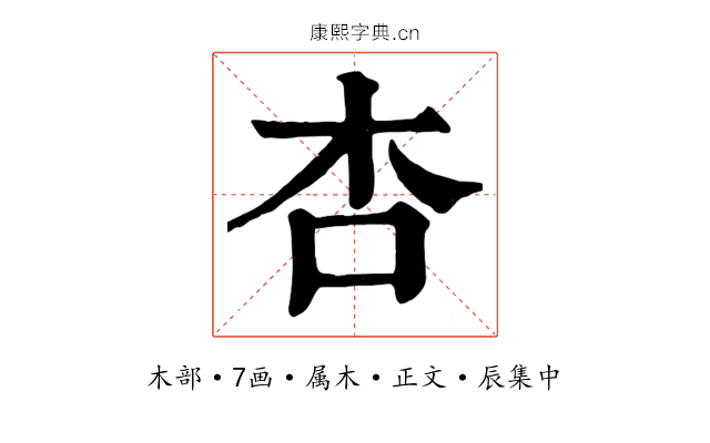 杏