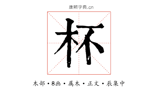 杯