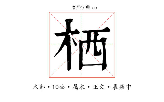 栖