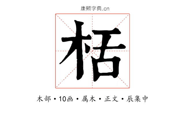 栝