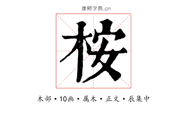 桉