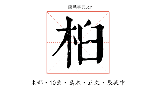 桕