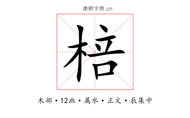 棓