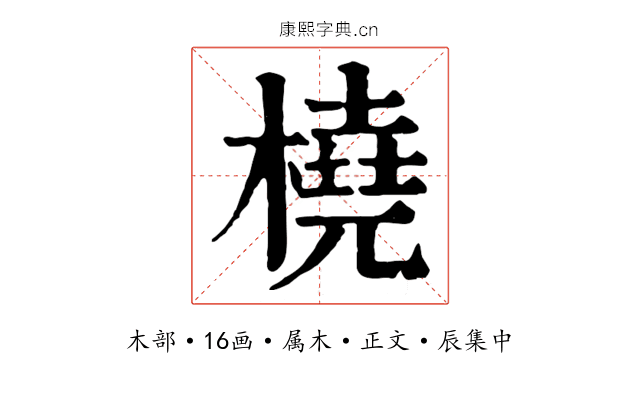 橈