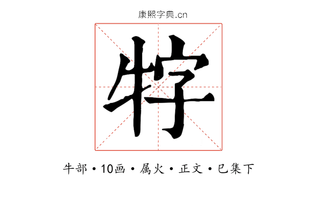 牸