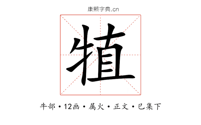 犆