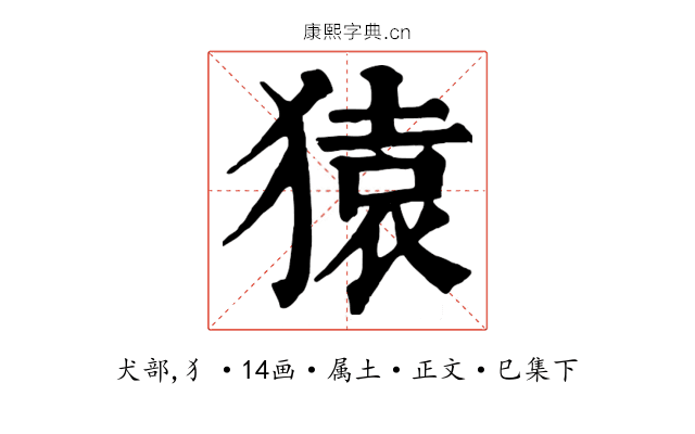 猿