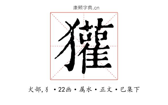 獾