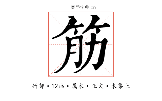 筋