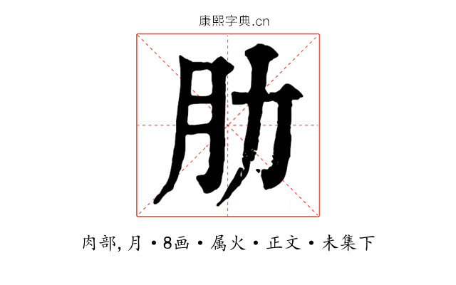 肋