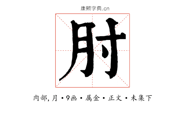 肘