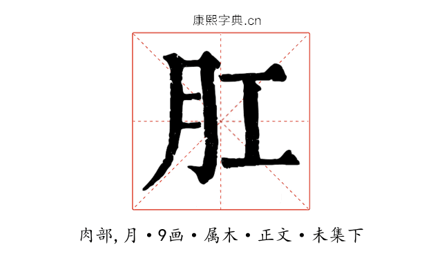 肛