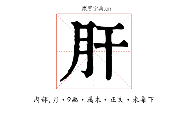 肝