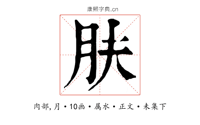 肤