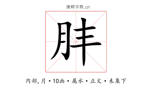 肨