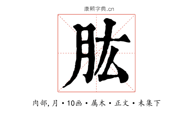肱