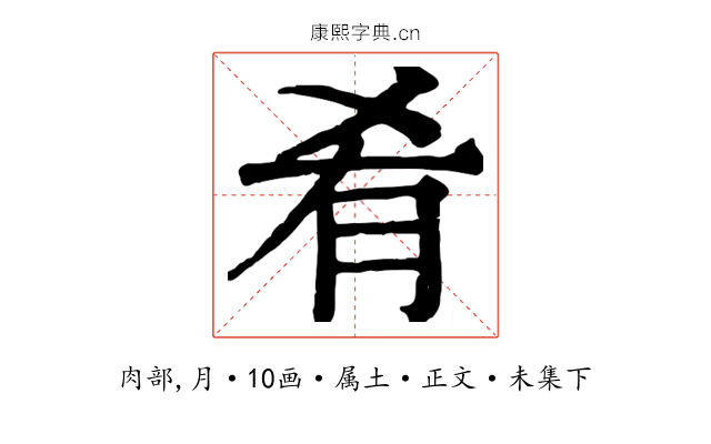 肴