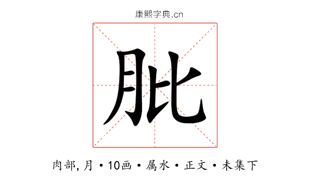 肶