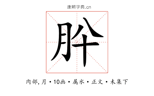 肸