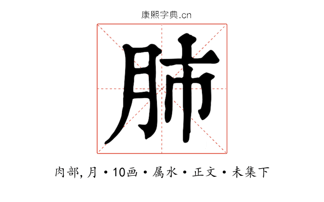 肺